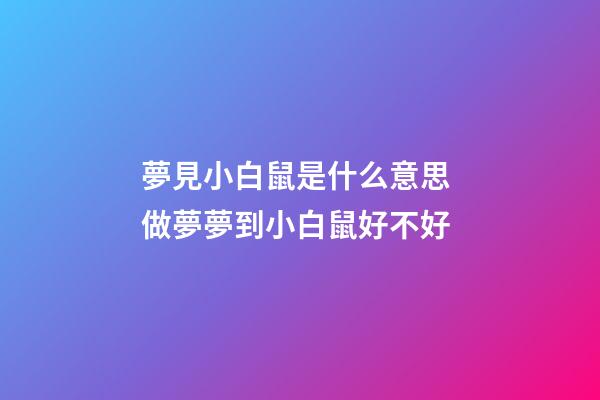 夢見小白鼠是什么意思 做夢夢到小白鼠好不好